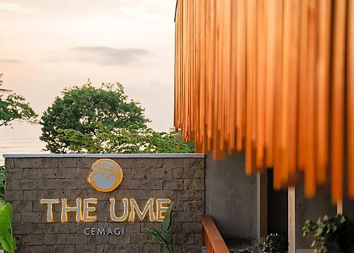 The Ume Cemagi